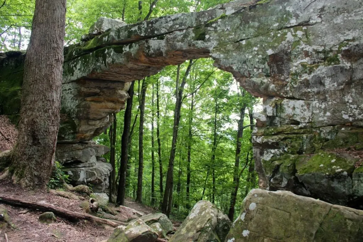 A natural forest scene with a dramatic rock archway surrounded by tall trees and a soft, leaf-strewn forest floor. The setting evokes a sense of exploration and discovery, ideal for nature walks and outdoor play.