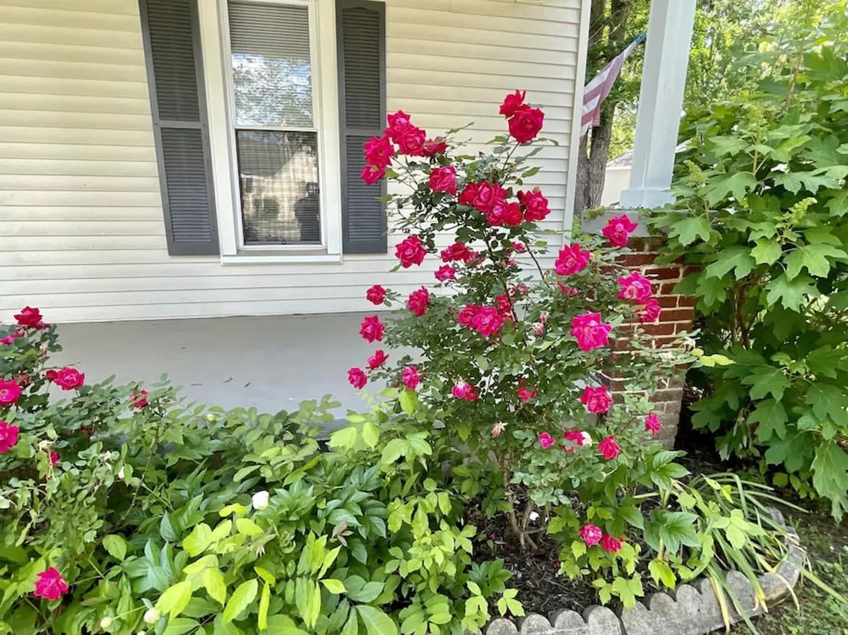 A close-up view of the front porch bordered by vibrant pink roses and lush foliage, inviting guests to enjoy a peaceful moment outdoors. The setting suggests a place for coffee rituals or evening gatherings in a warm, welcoming environment.