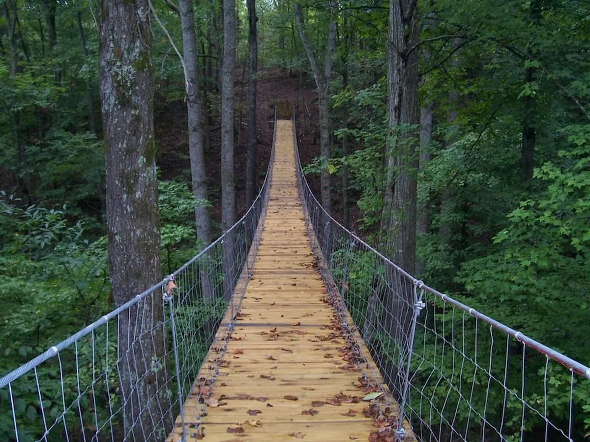 The image captures a suspension bridge nestled among tall trees and a forest floor, with the bridge providing a unique vantage point over the surrounding natural landscape. The atmosphere is serene, inviting guests to discover the outdoors.