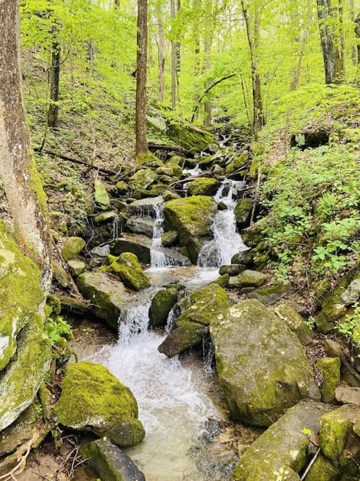 This image features a gentle stream bordered by smooth rocks and lush greenery, creating a tranquil natural environment ideal for outdoor activities. The scene is peaceful and evokes the allure of water-based recreation close to the cottage.